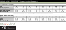 Load image into Gallery viewer, Sault College Facilities Management ESActive Vintage Hooded Sweatshirt