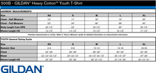 Load image into Gallery viewer, Anna McCrea Friendly Falcon Spirit Wear Youth Tee