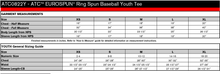 Load image into Gallery viewer, Holy Cross Campus Edition Ring Spun Baseball Youth Tee
