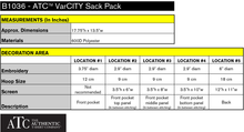Load image into Gallery viewer, NHSC VarCITY Cinch Bag