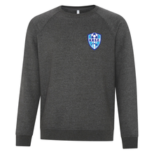 Load image into Gallery viewer, NHSC ESActive Vintage Crewneck Sweatshirt