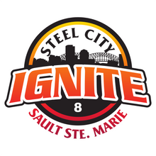Load image into Gallery viewer, Steel City Ignite Car Window Decal