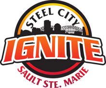 Load image into Gallery viewer, Steel City Ignite Car Window Decal