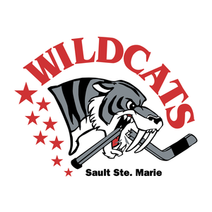 Sault Female Hockey Association Car Window Decal